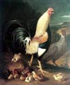 Cock hen and chicken